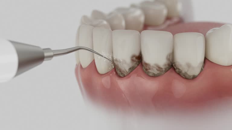 Reliable Dental contractor in Stony Point, NC by Dentist Open Now